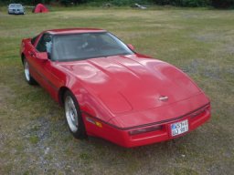 Big Bumper Meet 2008